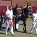 foto de los novillos